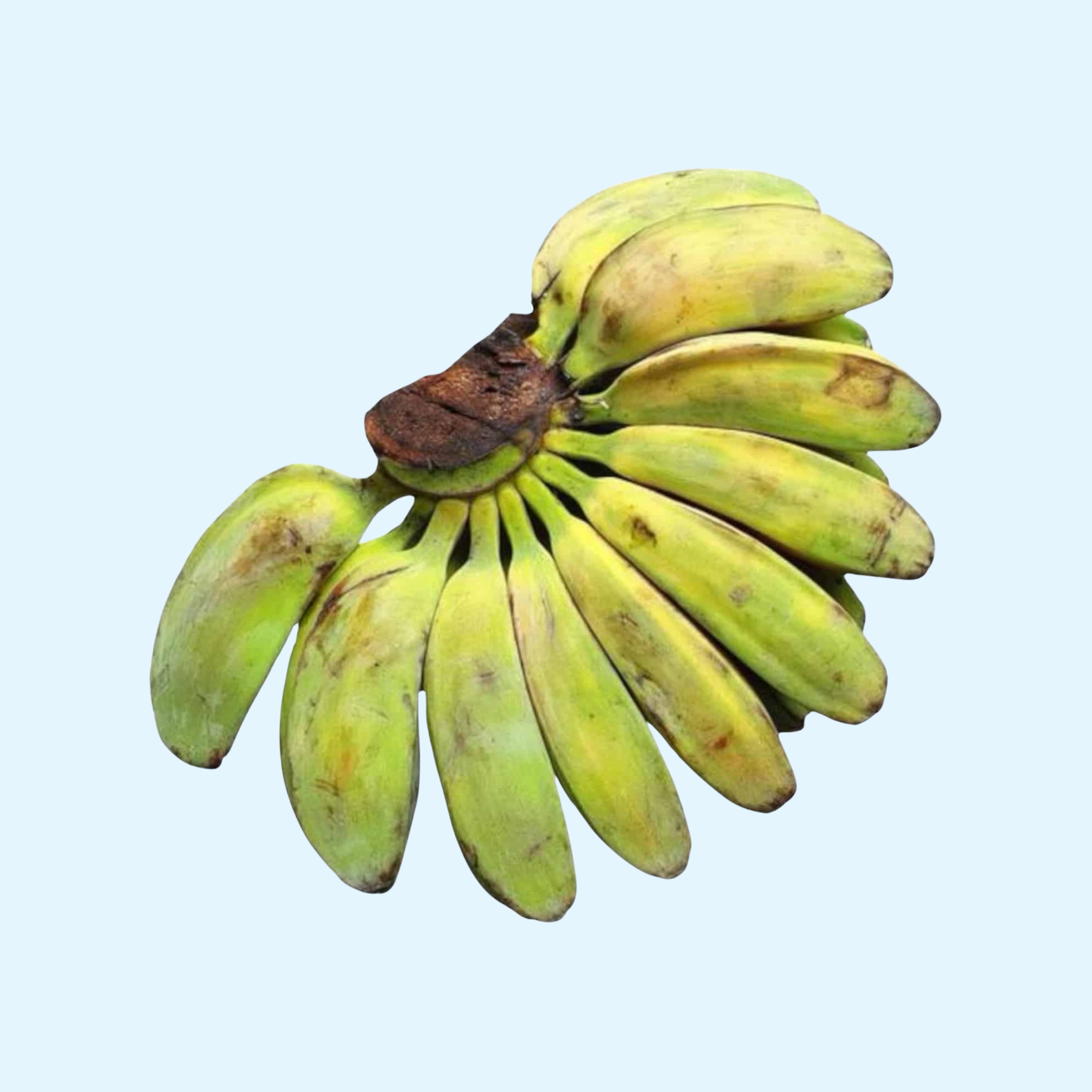 Bananas